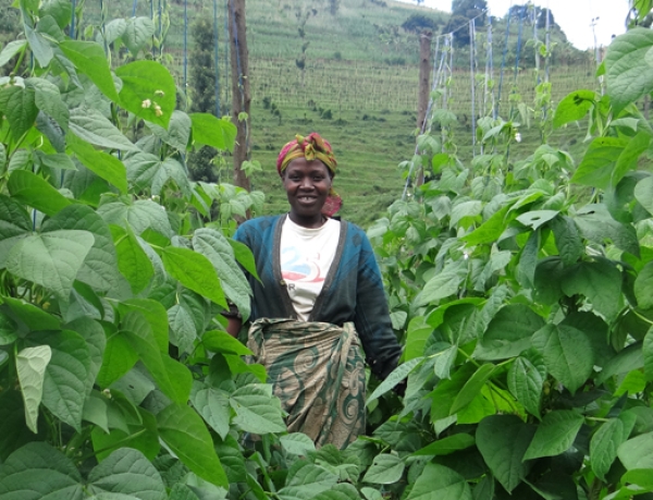 Green Harvest Initiative
