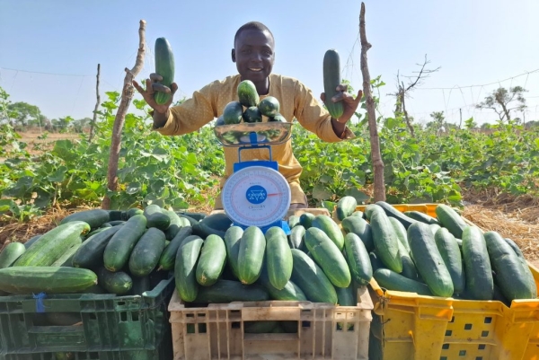 Green Harvest Initiative